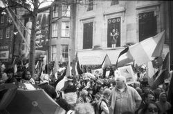 A cover image for the collection Palestine Protest 7/6/25